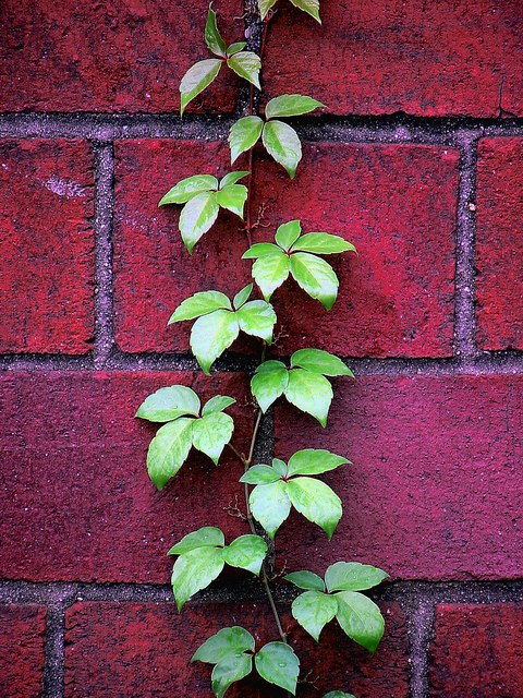 when faced with a brick wall...