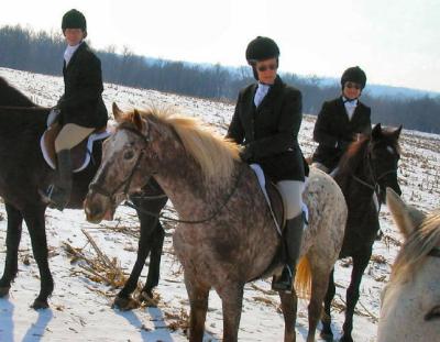 Hunting at Hill 'n Hound Farm January 30th