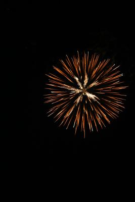 IMG_2104.jpg