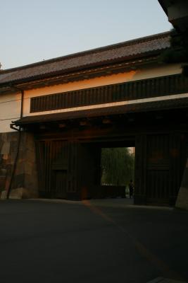 IMG_2447.JPG