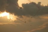 CRW_2696.jpg