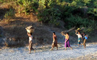 Home after foraging...Mrauk Oo