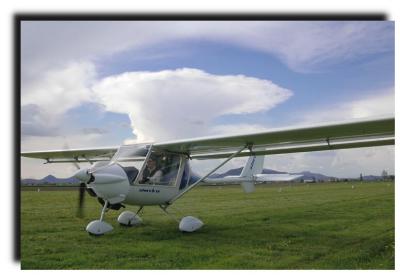storch_4409