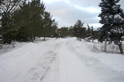 CRW_9011.jpg