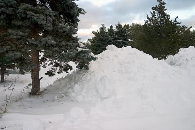 CRW_9013.jpg