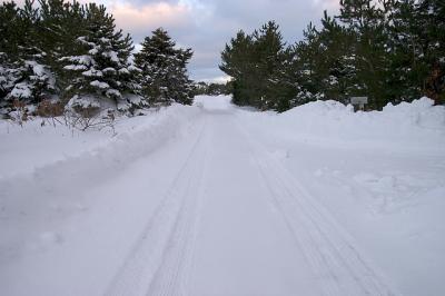 CRW_9015.jpg