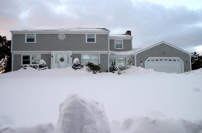 CRW_9017.jpg