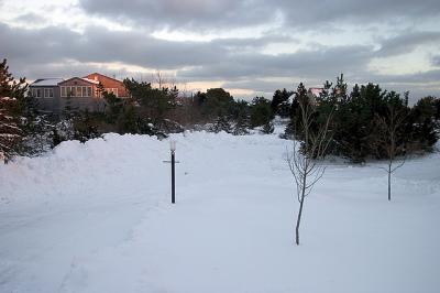 CRW_9033.jpg