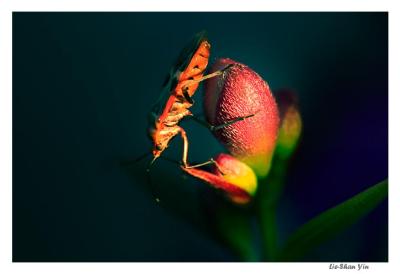 CRW_2023