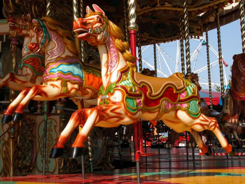 DSCN2781.JPG Gallopers