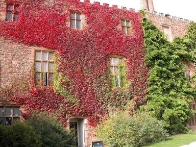 Powis Castle - Autumn Colurs