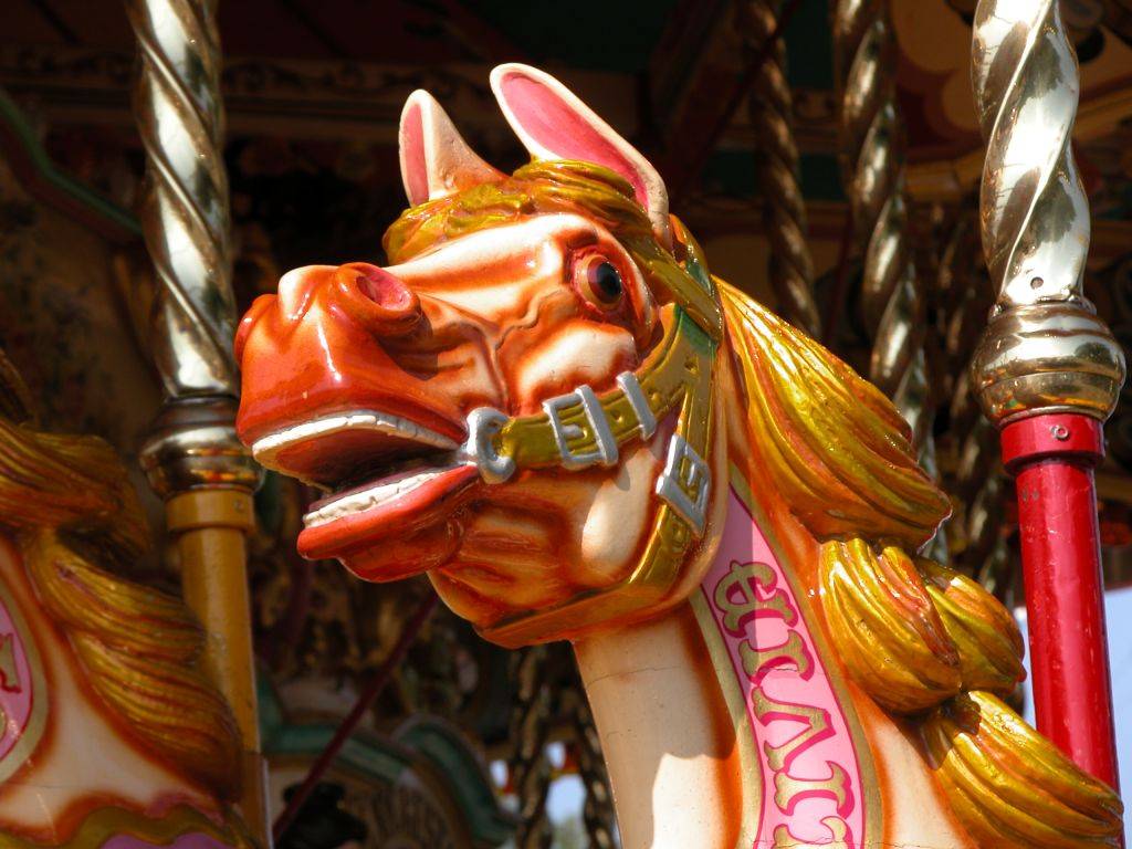 DSCN2782.JPG Gallopers