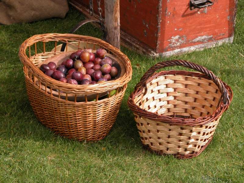 Basket of Plums
