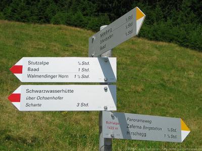 Immer auf den richtigen Weg