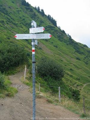 Immer auf den richtigen Weg