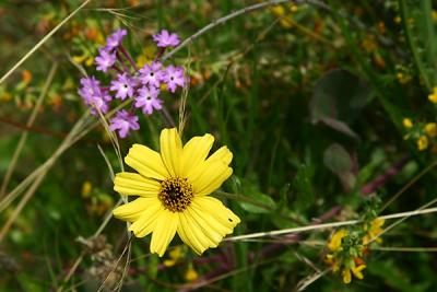 Img_9922 copy.jpg