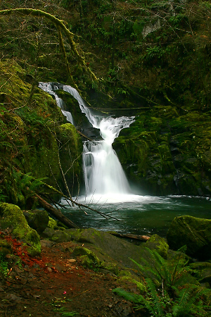 Sweet Creek Falls