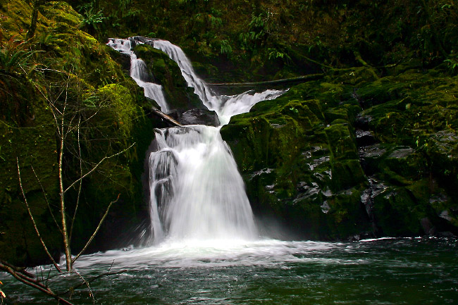 Sweet Creek Falls