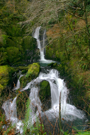 Sweet Creek Falls