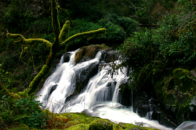 Beaver Creek Falls
