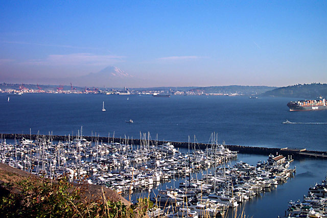 mt. rainier over the city (literally 65 mi away)