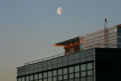 Jan 31: Moon in sunrise