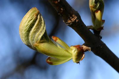 April 19: Breaking out