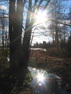 Suns in the creek, Grimstorp