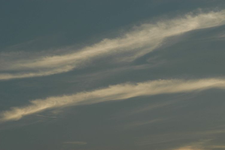 Dsc_1285.jpg