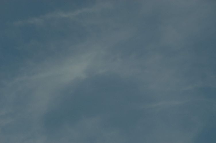 Dsc_1290.jpg