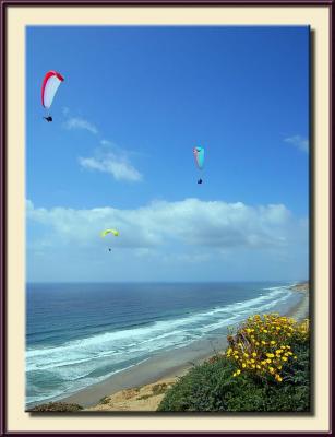 Torrey Pines  Glider Port