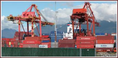 Container cranes at work.