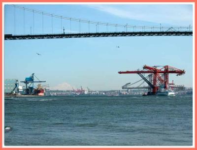 Safe in the harbour, now to unload.