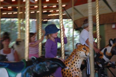 Carousel at Denver Zoo