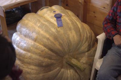 Too big for the Table