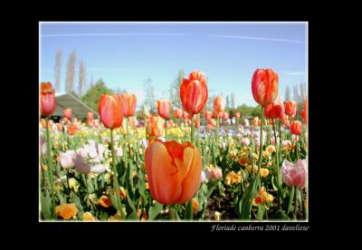 floriade01_2