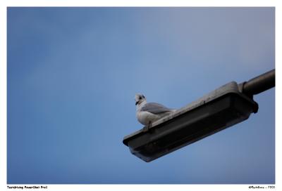 20D_MG_1606-C1.jpg