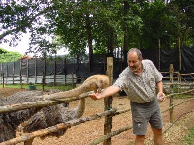 Feeding Emu