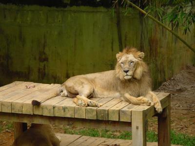 Malacca Zoo