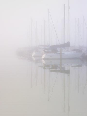 Marina in Fog 4683