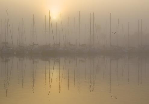 Marina Sunrise in Fog 4694
