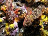 DSCN4444_PS640.JPG