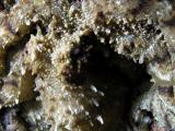 DSCN4527_PS640.JPG