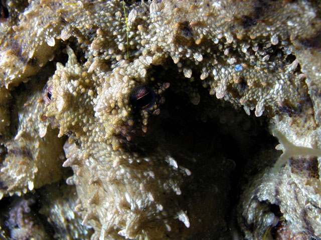 DSCN4527_PS640.JPG