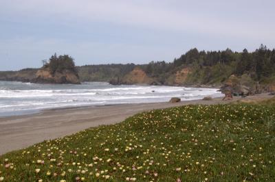 DSC_2742- Web.jpg