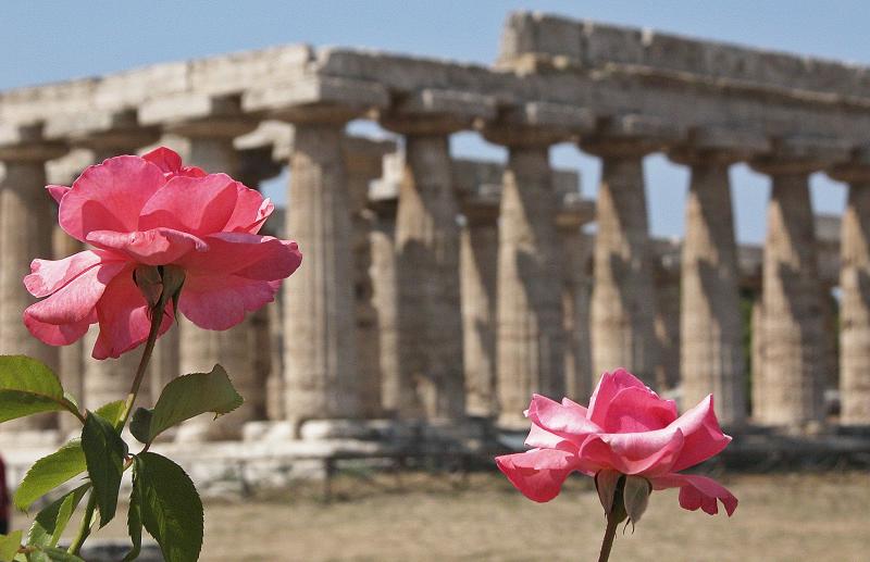 Paestum Temple of Hera