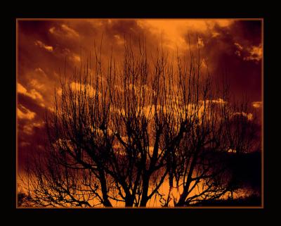 u17/michelep/medium/13047306.fireblackborder.jpg