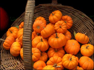 Basket of Gords