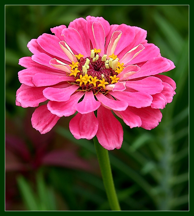 An Exposed Secret Floral Surprise