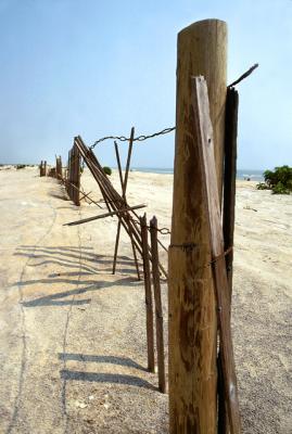 Weathered Dune Fence